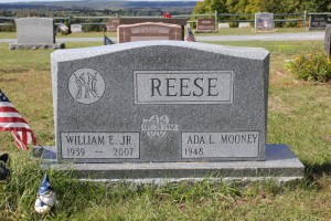 Reese-Grave-Stone-Gray-2-DESINS1-1024x683  